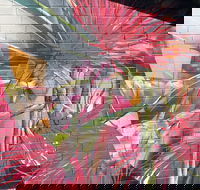 Mokoan Rest Stop Northbound - Sydney Tourism