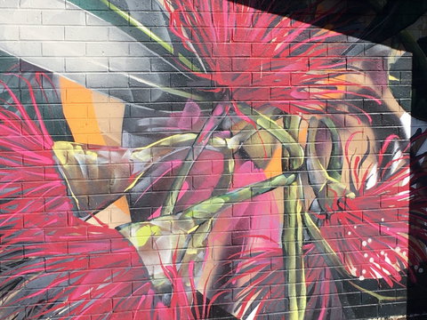 Mokoan Rest Stop Northbound - Sydney Tourism 0