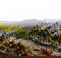 Mount View