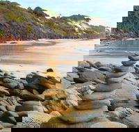 One Man Bluff - Sydney Tourism