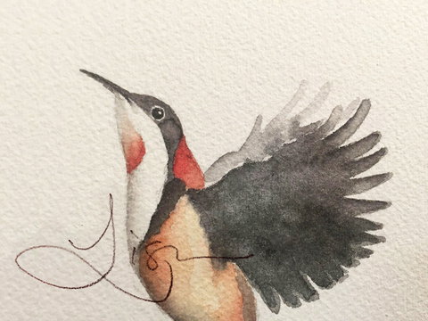 Pebbles And Pods - Sydney Tourism 0