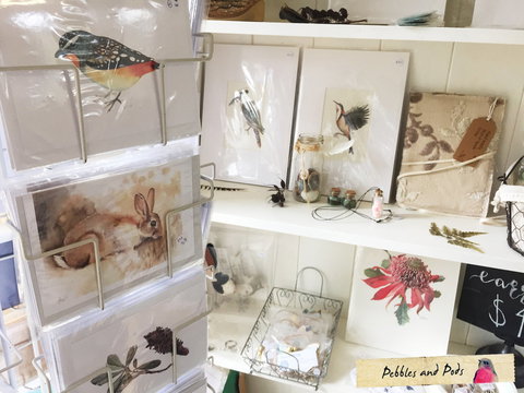 Pebbles And Pods - Sydney Tourism 2