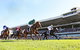 Rosehill Gardens Racecourse - thumb 0