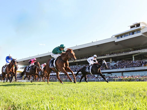 Rosehill Gardens Racecourse - Sydney Tourism 0