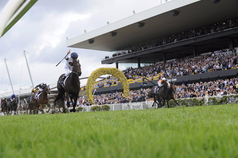 Rosehill Gardens Racecourse - Sydney Tourism 1