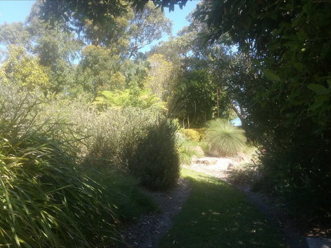 Shoalhaven Heads Native Botanic Garden - Sydney Tourism 2