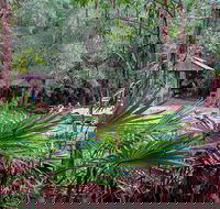 Sugar Creek Picnic Area - Sydney Tourism
