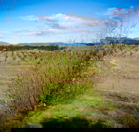 Tarago Truffles - Sydney Tourism