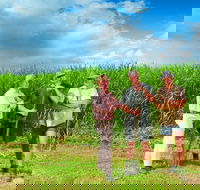 The Shed Gallery - Sydney Tourism