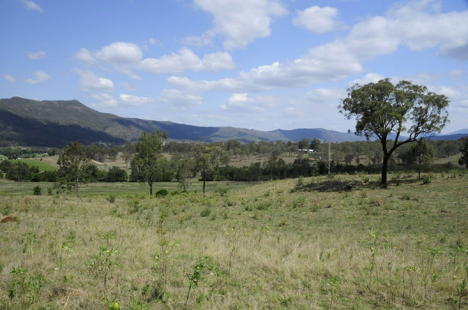 Thornton QLD Sydney Tourism