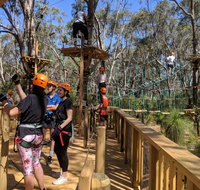 Trees Adventure - Yanchep Park - Sydney Tourism