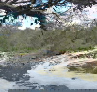 Walyunga National Park - Sydney Tourism