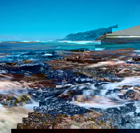 Wyrrabalong National Park - Sydney Tourism