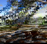 Bowen Mountain Park - Sydney Tourism