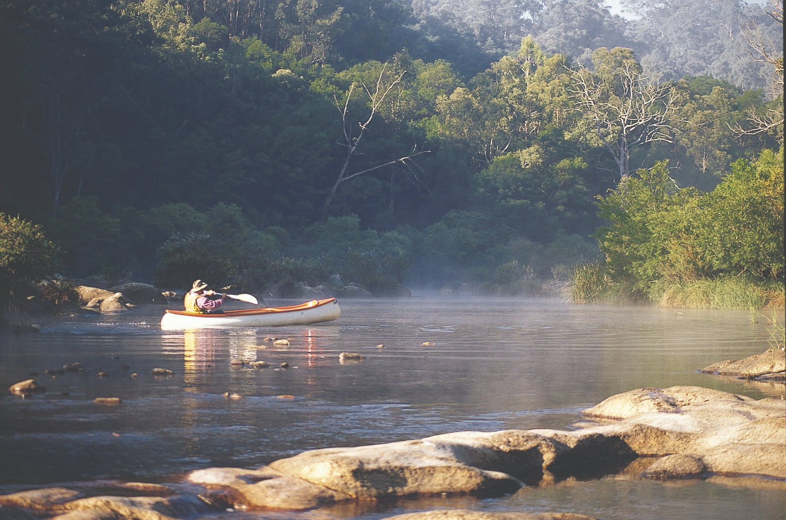 Reedy Swamp NSW Sydney Tourism