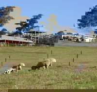 Calmsley Hill City Farm - Sydney Tourism