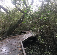 Carole Green Walkway - John Oxley Reserve - Sydney Tourism