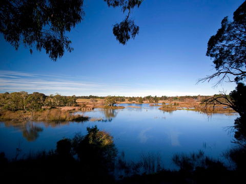 Cecil Hoskins Nature Reserve - Sydney Tourism 0