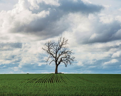 Clare Valley - Sydney Tourism 0