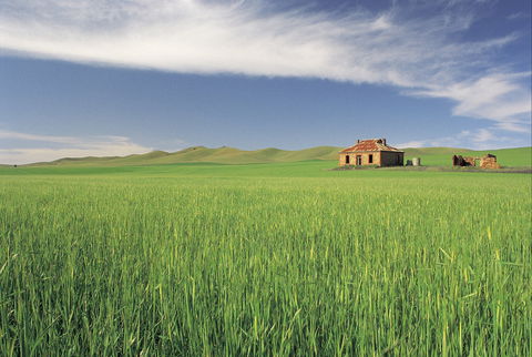 Clare Valley - Sydney Tourism 1