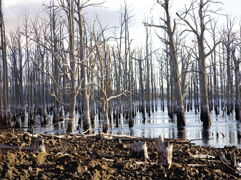 Derwent Valley And Central Highlands - Sydney Tourism 1