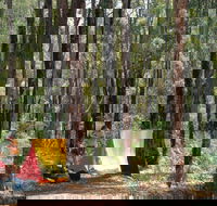 Dwellingup - Sydney Tourism