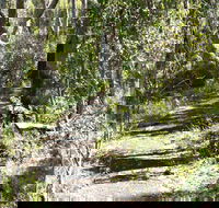 Euglah Rock Walking Track - Sydney Tourism