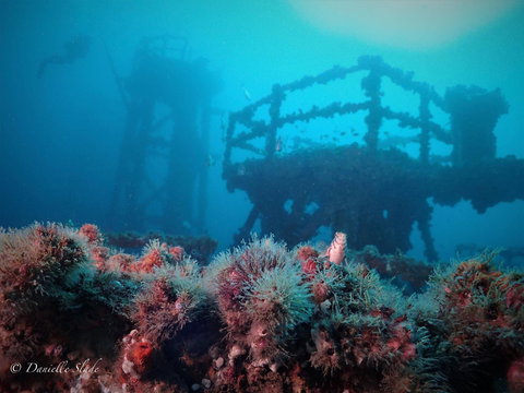 Ex HMAS Adelaide - Sydney Tourism 0