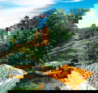 Gayndah's Big Orange - Sydney Tourism