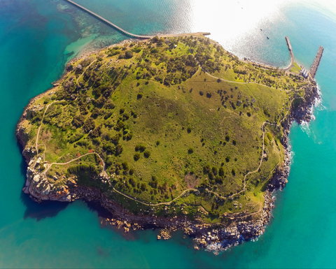 Granite Island Recreation Park - Sydney Tourism 1