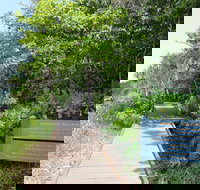 Kennedy Walking Track - Sydney Tourism