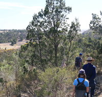 Kinchina Conservation Park - Sydney Tourism