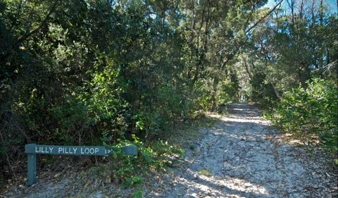 Lillypilly Loop Trail - Sydney Tourism 0