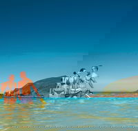 Llewellyn Dive Site - Sydney Tourism