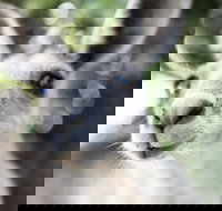 Lochern National Park - Sydney Tourism