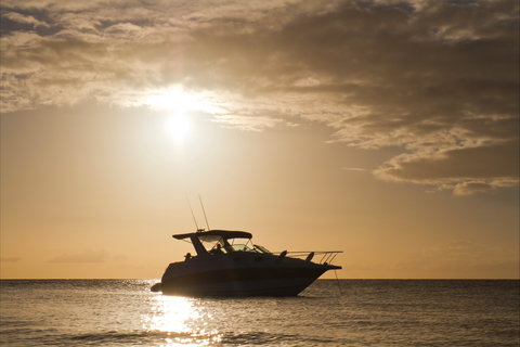 Maaroom - Sydney Tourism 0