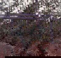 Marrinup Trail Dwellingup - Sydney Tourism