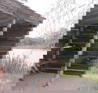 Martin Bend Wetland and Walking Trail - Sydney Tourism