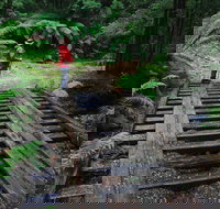 Montezuma Falls - Sydney Tourism