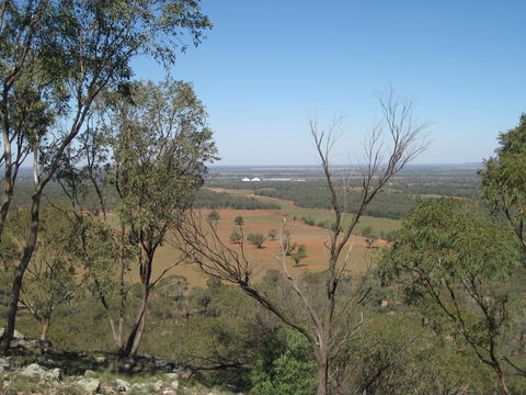 Mount Tilga - Sydney Tourism 0