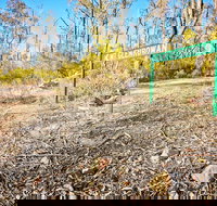 Mt Glenrowan Lookout Walk - Sydney Tourism