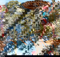 Next Level Monkey Business - Sydney Tourism