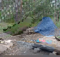 Northbrook Mountain Bush Camp