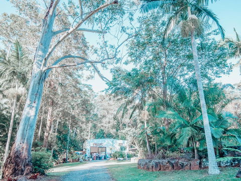 Phillips Gallery - Sydney Tourism 0