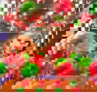 Sciencentre - Sydney Tourism