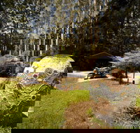 The Pines Picnic Area - Sydney Tourism