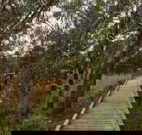 The Briars Park Walking Trails - Sydney Tourism