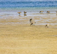 Towra Beach - Sydney Tourism