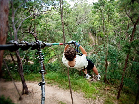 TreeTop Challenge - Sydney Tourism 0