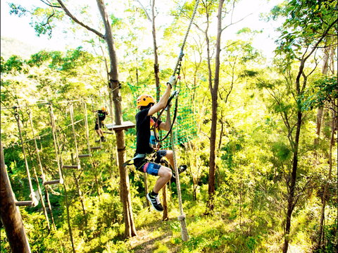 TreeTop Challenge - Sydney Tourism 1